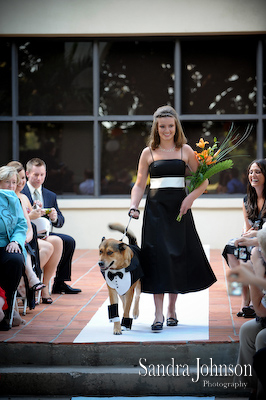 Best Winter Park Civic Center Wedding Photos - Sandra Johnson (SJFoto.com)